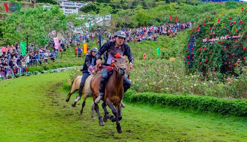 Crowds in Sa Pa thrilled by local horse race